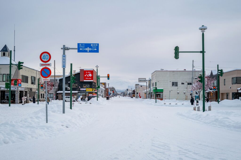 Snow impact school closures during heavy snowfall